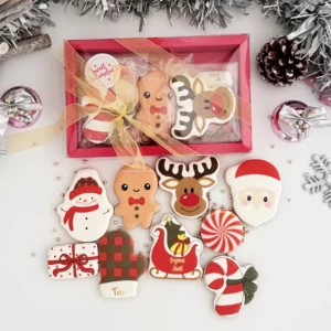 Coffret de Noël 2025